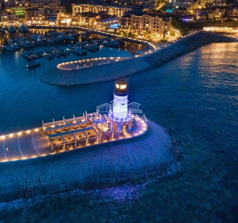 DJI_0442